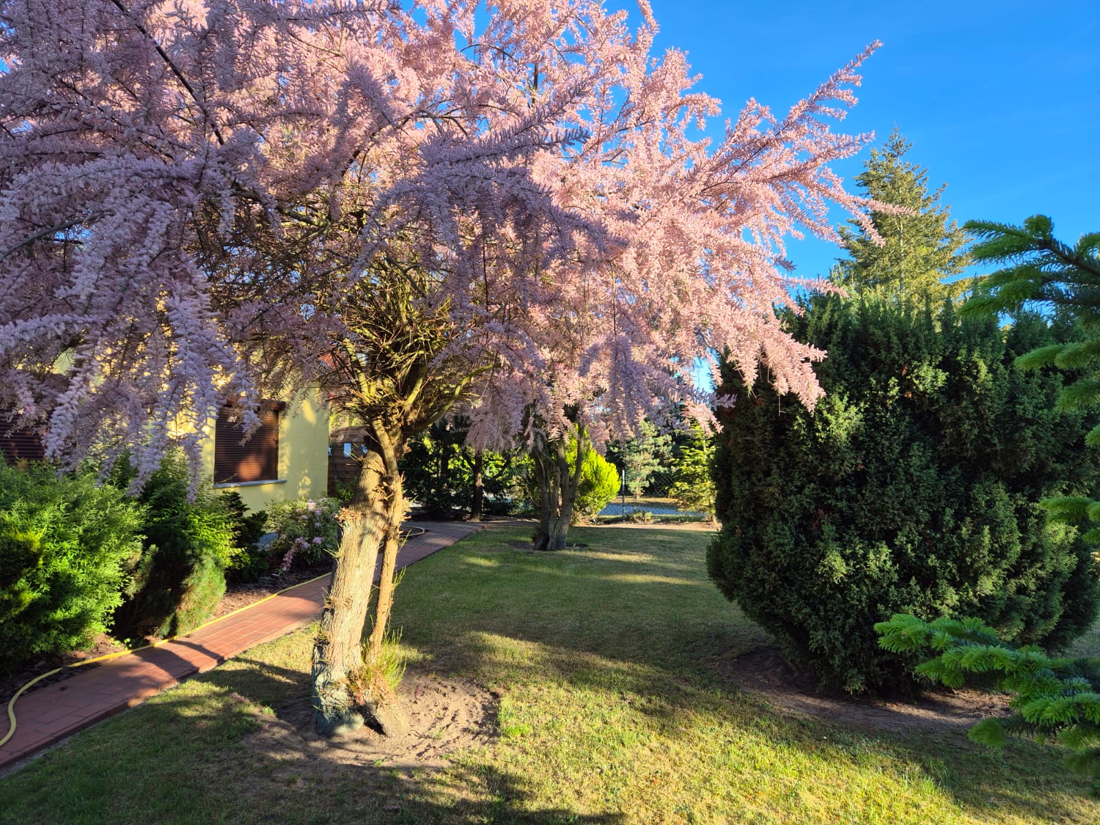 Impressionen – Bild 4